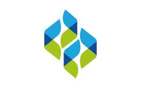 雄颉电子科技logo设计